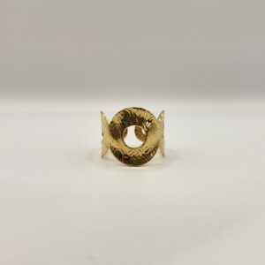 Ring met cirkels